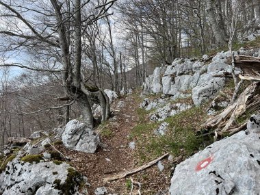 Premuzic yürüyüş yolu veya Preguric Trail - Velebit Doğa Parkı, Hırvatistan veya Preguric-Wanderweg veya Premuzic 's Trail (Pjesacki planinarski, Premuziceva staza - Park öncelikli Velebit, Hrvatska)