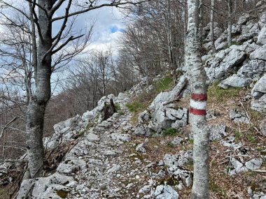 Premuzic yürüyüş yolu veya Preguric Trail - Velebit Doğa Parkı, Hırvatistan veya Preguric-Wanderweg veya Premuzic 's Trail (Pjesacki planinarski, Premuziceva staza - Park öncelikli Velebit, Hrvatska)