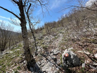 Premuzic yürüyüş yolu veya Preguric Trail - Velebit Doğa Parkı, Hırvatistan veya Preguric-Wanderweg veya Premuzic 's Trail (Pjesacki planinarski, Premuziceva staza - Park öncelikli Velebit, Hrvatska)
