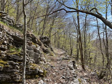 Premuzic yürüyüş yolu veya Preguric Trail - Velebit Doğa Parkı, Hırvatistan veya Preguric-Wanderweg veya Premuzic 's Trail (Pjesacki planinarski, Premuziceva staza - Park öncelikli Velebit, Hrvatska)