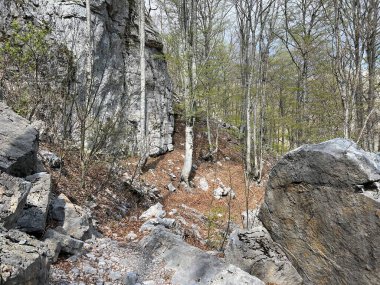 Premuzic yürüyüş yolu veya Preguric Trail - Velebit Doğa Parkı, Hırvatistan veya Preguric-Wanderweg veya Premuzic 's Trail (Pjesacki planinarski, Premuziceva staza - Park öncelikli Velebit, Hrvatska)