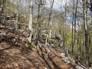 Premuzic yürüyüş yolu veya Preguric Trail - Velebit Doğa Parkı, Hırvatistan veya Preguric-Wanderweg veya Premuzic 's Trail (Pjesacki planinarski, Premuziceva staza - Park öncelikli Velebit, Hrvatska)
