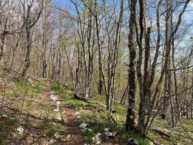 Premuzic yürüyüş yolu veya Preguric Trail - Velebit Doğa Parkı, Hırvatistan veya Preguric-Wanderweg veya Premuzic 's Trail (Pjesacki planinarski, Premuziceva staza - Park öncelikli Velebit, Hrvatska)