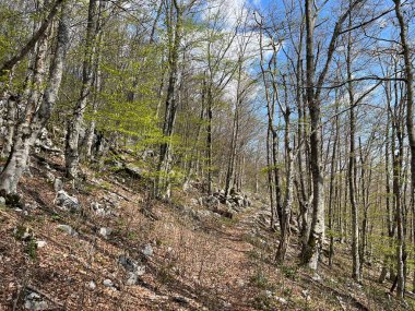 Premuzic yürüyüş yolu veya Preguric Trail - Velebit Doğa Parkı, Hırvatistan veya Preguric-Wanderweg veya Premuzic 's Trail (Pjesacki planinarski, Premuziceva staza - Park öncelikli Velebit, Hrvatska)