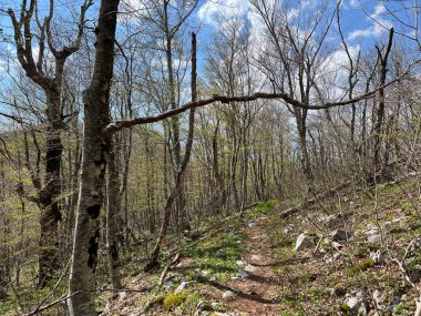 Premuzic yürüyüş yolu veya Preguric Trail - Velebit Doğa Parkı, Hırvatistan veya Preguric-Wanderweg veya Premuzic 's Trail (Pjesacki planinarski, Premuziceva staza - Park öncelikli Velebit, Hrvatska)