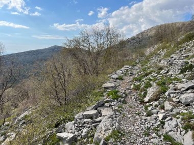 Premuzic yürüyüş yolu veya Preguric Trail - Velebit Doğa Parkı, Hırvatistan veya Preguric-Wanderweg veya Premuzic 's Trail (Pjesacki planinarski, Premuziceva staza - Park öncelikli Velebit, Hrvatska)