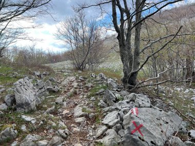 Premuzic yürüyüş yolu veya Preguric Trail - Velebit Doğa Parkı, Hırvatistan veya Preguric-Wanderweg veya Premuzic 's Trail (Pjesacki planinarski, Premuziceva staza - Park öncelikli Velebit, Hrvatska)