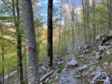 Premuzic yürüyüş yolu veya Preguric Trail - Velebit Doğa Parkı, Hırvatistan veya Preguric-Wanderweg veya Premuzic 's Trail (Pjesacki planinarski, Premuziceva staza - Park öncelikli Velebit, Hrvatska)