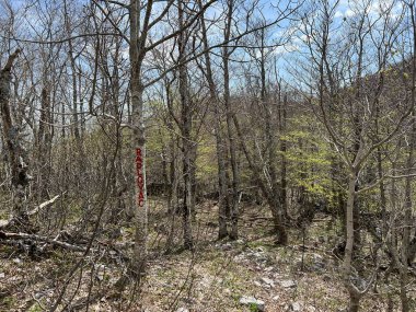 Hırvatistan 'ın Velebit Doğa Parkı (Planinarske oznake i penjacke markacije na podrucju Parka prirode Velebit, Hrvatska)