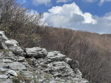 Kireçtaşı kayaları ve karst dağ manzarası - Velebit Doğa Parkı, Hırvatistan (Vapnenacke stijene i krski planinski krajolik - Park prirode Velebit, Hrvatska)