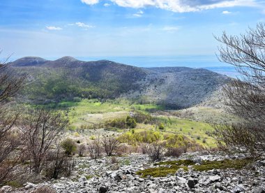 Velebit Doğa Parkı, Hırvatistan (Planinski pasnjaci i i mijesana suma u rano proljece - Park Velebit, Hrvatska)