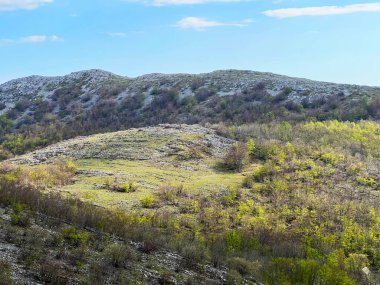 Velebit Doğa Parkı, Hırvatistan (Planinski pasnjaci i i mijesana suma u rano proljece - Park Velebit, Hrvatska)