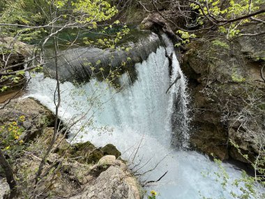 Krciç nehrinin kanyonunda (özel jeomorfolojik hidrolojik rezerv Krciç) Travertine şelalesi - Sedreni tokadı u kanjonu rjecice Krciç (posebni geomorfolosko-hidroloski rezerv) Kovaciç, Hrvatska