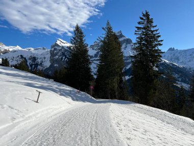 İsviçre 'nin Obwalden Kantonu (Kanton Obwald, Schweiz) adlı İsviçre Alpleri' ndeki Engelberg tatil beldesinde yürüyüş, yürüyüş ve dinlenme için mükemmel bir şekilde hazırlanmış kış patikaları.)