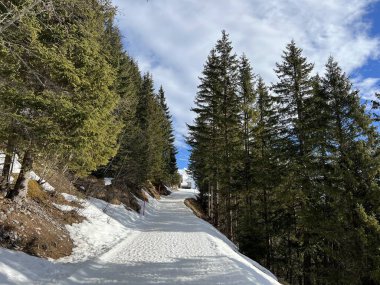 İsviçre 'nin Obwalden Kantonu (Kanton Obwald, Schweiz) adlı İsviçre Alpleri' ndeki Engelberg tatil beldesinde yürüyüş, yürüyüş ve dinlenme için mükemmel bir şekilde hazırlanmış kış patikaları.)