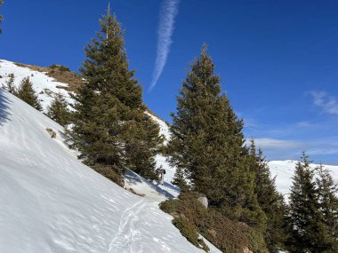 İsviçre Alpleri 'nin taze dağlık kar örtüsünde ve Engelberg - Obwalden Kantonu, İsviçre (Kanton Obwald, Schweiz)