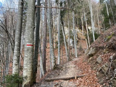 Alp ormanları tipik bir kış ortamı ve İsviçre Alpleri 'ndeki Engelberg turizm beldesi - İsviçre' nin Obwalden Kantonu (Kanton Obwald, Schweiz)