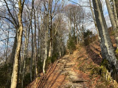 Alp ormanları tipik bir kış ortamı ve İsviçre Alpleri 'ndeki Engelberg turizm beldesi - İsviçre' nin Obwalden Kantonu (Kanton Obwald, Schweiz)