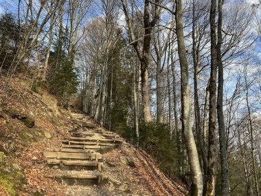 Alp ormanları tipik bir kış ortamı ve İsviçre Alpleri 'ndeki Engelberg turizm beldesi - İsviçre' nin Obwalden Kantonu (Kanton Obwald, Schweiz)