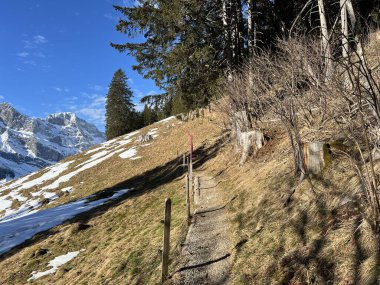 Alp ormanları tipik bir kış ortamı ve İsviçre Alpleri 'ndeki Engelberg turizm beldesi - İsviçre' nin Obwalden Kantonu (Kanton Obwald, Schweiz)