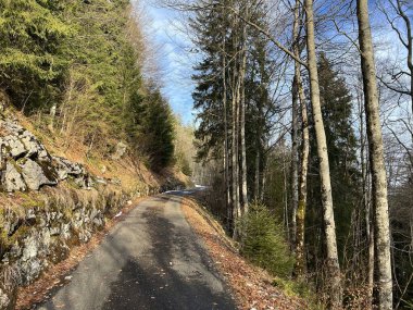 Alp ormanları tipik bir kış ortamı ve İsviçre Alpleri 'ndeki Engelberg turizm beldesi - İsviçre' nin Obwalden Kantonu (Kanton Obwald, Schweiz)