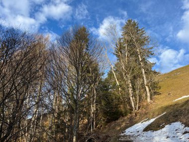 Engelberg turizm beldesi Kanton of Obwalden, İsviçre (Kanton Obwald, Schweiz)