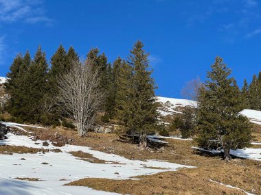 Engelberg turizm beldesi Kanton of Obwalden, İsviçre (Kanton Obwald, Schweiz)