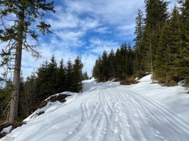İsviçre 'nin Engelberg Kantonu, Obwalden, İsviçre (Kanton Obwald, Schweiz)
