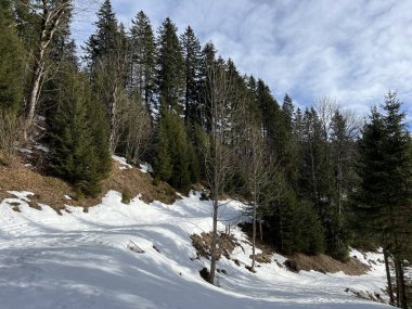 İsviçre 'nin Engelberg Kantonu, Obwalden, İsviçre (Kanton Obwald, Schweiz)