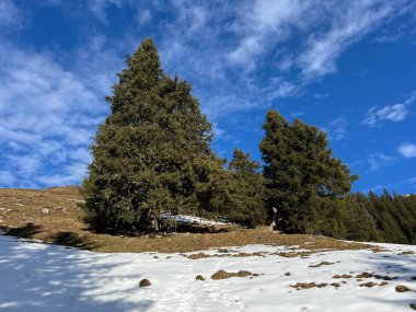 Engelberg turizm beldesi - İsviçre 'nin Obwalden Kantonu (Kanton Obwald, Schweiz)