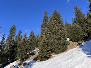 Engelberg turizm beldesi - İsviçre 'nin Obwalden Kantonu (Kanton Obwald, Schweiz)