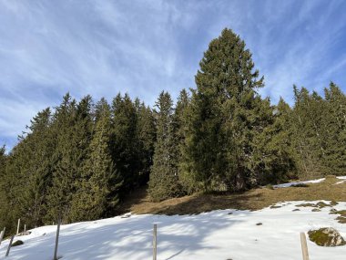 Engelberg turizm beldesi - İsviçre 'nin Obwalden Kantonu (Kanton Obwald, Schweiz)
