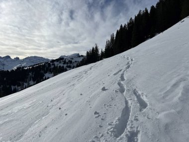İsviçre Alpleri 'nin taze dağlık kar örtüsünde ve Engelberg - Obwalden Kantonu, İsviçre (Kanton Obwald, Schweiz)