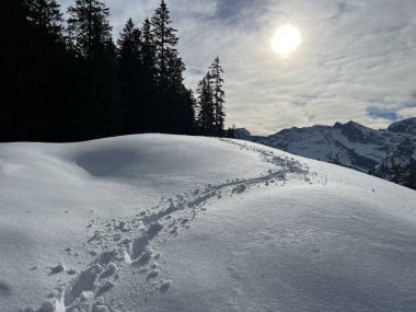 İsviçre Alpleri 'nin taze dağlık kar örtüsünde ve Engelberg - Obwalden Kantonu, İsviçre (Kanton Obwald, Schweiz)