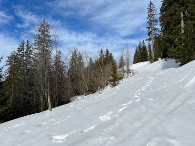 İsviçre Alpleri 'nin taze dağlık kar örtüsünde ve Engelberg - Obwalden Kantonu, İsviçre (Kanton Obwald, Schweiz)