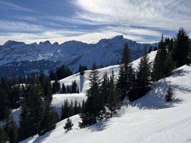 İsviçre 'nin Obwalden Kantonu (Kanton Obwald, Schweiz), İsviçre' deki Engelberg turizm beldesi üzerinde kar yağışı sonrasında tipik bir kış atmosferindeki alp ağaçlarının resimli gölgeleri.)