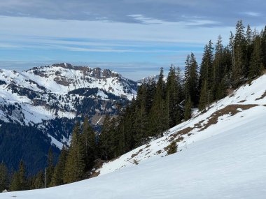 İsviçre 'nin Obwalden Kantonu (Kanton Obwald, Schweiz), İsviçre' deki Engelberg turizm beldesi üzerinde kar yağışı sonrasında tipik bir kış atmosferindeki alp ağaçlarının resimli gölgeleri.)