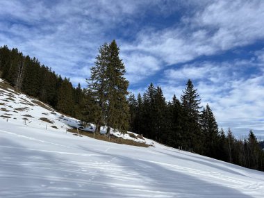 İsviçre 'nin Obwalden Kantonu (Kanton Obwald, Schweiz), İsviçre' deki Engelberg turizm beldesi üzerinde kar yağışı sonrasında tipik bir kış atmosferindeki alp ağaçlarının resimli gölgeleri.)