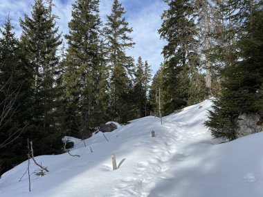 Alp ormanları tipik bir kış ortamında ve Engelberg 'in turistik tatil beldesi olan Obwalden, İsviçre' nin Kanton Obwald (Kanton Obwald, Schweiz)