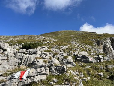 Melchtal Alp Vadisi 'nin yamaçlarında ve Uri Alp Dağları' nda bulunan Kerns Kantonu Obwalden, İsviçre (Kanton Obwald, Schweiz)