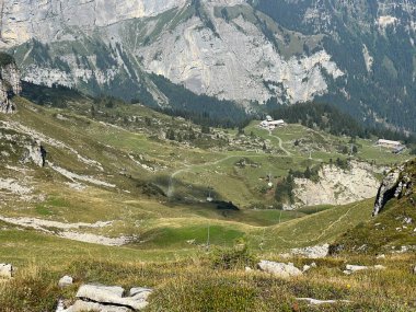 Uri Alp dağlarının yamaçlarındaki çayırlarda ve çayırlarda, Melchtal - Obwalden Kantonu, İsviçre (Kanton Obwald, Schweiz)