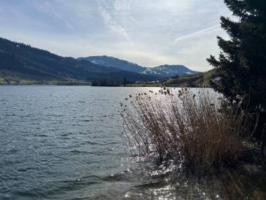 İsviçre subalpin gölü bkz. Agerisee veya Ageri Gölü (Aegeri Gölü) - İsviçre 'nin Zug Kantonu - (Agerisee oder Aegerisee - Kanton Zug, Schweiz)