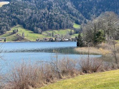 İsviçre subalpin gölü bkz. Agerisee veya Ageri Gölü (Aegeri Gölü) - İsviçre 'nin Zug Kantonu - (Agerisee oder Aegerisee - Kanton Zug, Schweiz)