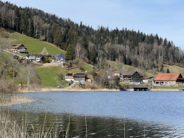 İsviçre subalpin gölü bkz. Agerisee veya Ageri Gölü (Aegeri Gölü) - İsviçre 'nin Zug Kantonu - (Agerisee oder Aegerisee - Kanton Zug, Schweiz)