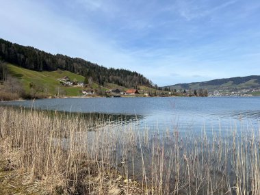 İsviçre subalpin gölü bkz. Agerisee veya Ageri Gölü (Aegeri Gölü) - İsviçre 'nin Zug Kantonu - (Agerisee oder Aegerisee - Kanton Zug, Schweiz)
