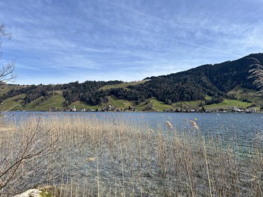 İsviçre subalpin gölü bkz. Agerisee veya Ageri Gölü (Aegeri Gölü) - İsviçre 'nin Zug Kantonu - (Agerisee oder Aegerisee - Kanton Zug, Schweiz)