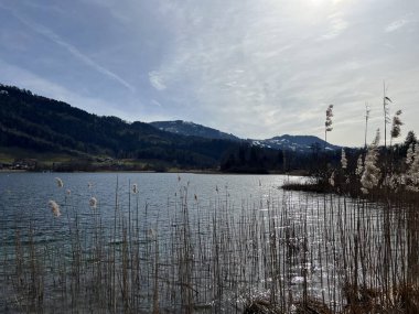İsviçre subalpin gölü bkz. Agerisee veya Ageri Gölü (Aegeri Gölü) - İsviçre 'nin Zug Kantonu - (Agerisee oder Aegerisee - Kanton Zug, Schweiz)