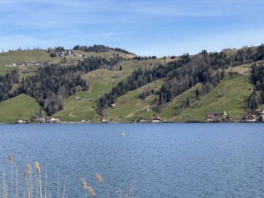 İsviçre subalpin gölü bkz. Agerisee veya Ageri Gölü (Aegeri Gölü) - İsviçre 'nin Zug Kantonu - (Agerisee oder Aegerisee - Kanton Zug, Schweiz)