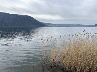 İsviçre subalpin gölü bkz. Agerisee veya Ageri Gölü (Aegeri Gölü) - İsviçre 'nin Zug Kantonu - (Agerisee oder Aegerisee - Kanton Zug, Schweiz)