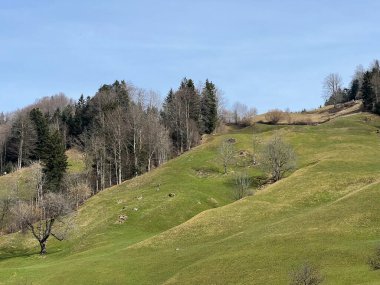 Agerisee ya da Ageri Gölü (Ageri Gölü) - İsviçre 'nin Zug Kantonu - (Agerisee oder Aegerisee - Kanton Zug, Schweiz)
